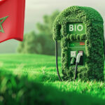Le bioéthanol, une opportunité inexploitée pour la transition énergétique du Maroc ?